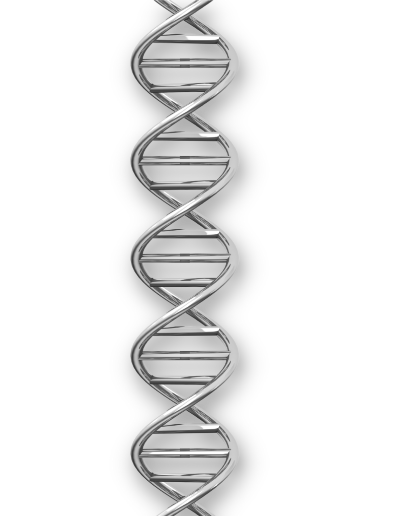 Portada-reportes-3-791x1024