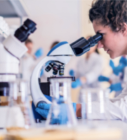 Captura de pantalla 2024-09-28 a la(s) 16.29.56